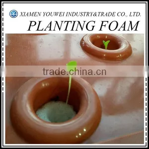 Wholesale Green Florist Foam Green House thumbnail-1