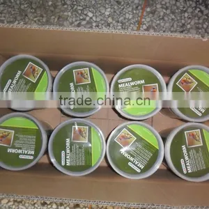 Wholesale Dried Mealworm thumbnail-3
