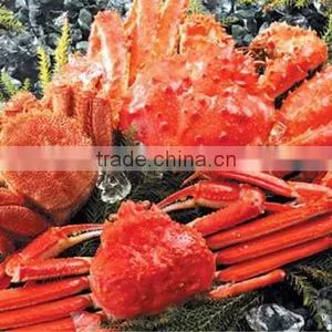 Delicious Frozen Seafood Crab , Other Seafoods Also Available thumbnail-3