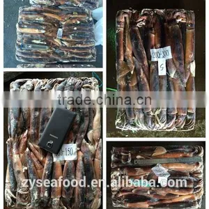 New Season China Origin Illex Squid Tentacle thumbnail-1