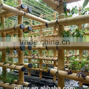 Agriculture Bamboo Canes thumbnail-1