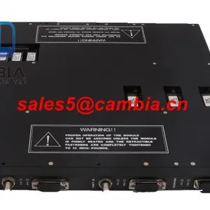 In Stock! Original Triconex 3000604-100 / Sales5@cambia.cn thumbnail-2