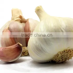 5.0cm Fresh Normal White Garlic for Sale thumbnail-1
