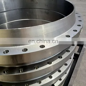 Forged Flange Class 150 300 600 2500 Stainless Steel Flange Weld Neck Flange Hardware thumbnail-5