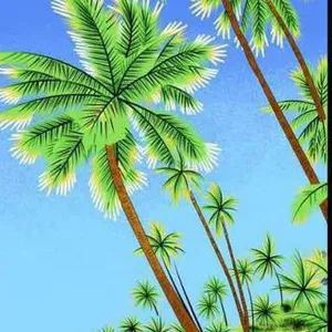 Tropical Palm Tree Beach Towels Microfiber Printed Beach Towels/Printing Beach Towels thumbnail-1