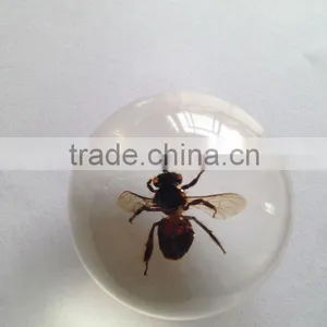New Design Rutilated Quartz Crystal Ball / Sphere With Real Ember Embedded for Promotional Gift thumbnail-6