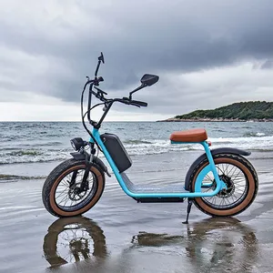 Two Wheels 1000W 20inch Fat Tire Electric Scooter thumbnail-5