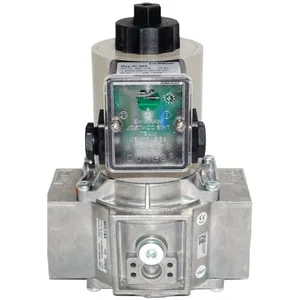 Supplying the Gas Solenoid Valve Burner Accessory MVD507/5 With the Model of Dongsi Solenoid Valve Coil Mag.Nr.100 thumbnail-5