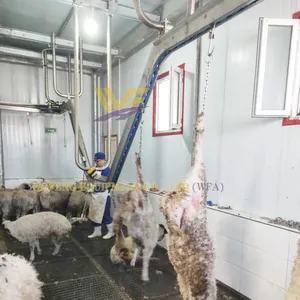 Modern Abattoir Equipment Goat Slaughterhouse Sheep Slaughtering Line Machine Butchery thumbnail-2