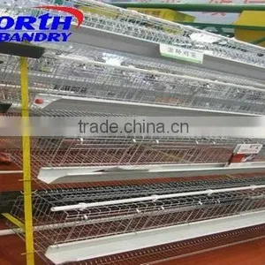 Automatic Poultry Farm Equipments/chicken Layer Cage/chicken Poultry Battery Cage thumbnail-1