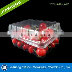 Pet/pla Clear Fruit Vegetables Container thumbnail-1