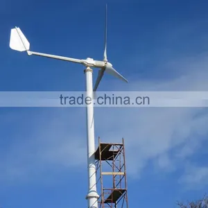 HENRYD! 6kw Wind Turbine Generator With Windmill Generator for 120v 240v 380v Wind Power Generator System thumbnail-2