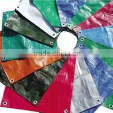 PE Tarpaulin in Roll, Bale, Carton Packing thumbnail-2