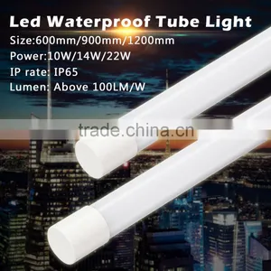 IP65 Water Proof T8 Led Tube Light 600mm 900mm 1200mm thumbnail-2