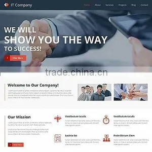 Online Web Design thumbnail-3