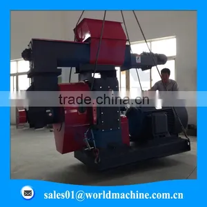 (website: Hnlily07) 8MM EFB Pellets Line for Sale / 6 T per Hour EFB Pellet Production Line thumbnail-1