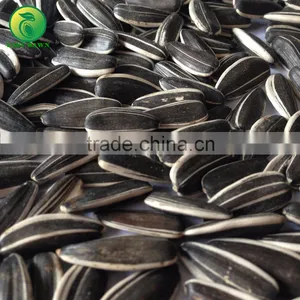 Whats App Sale Sunflower Seeds From China, Sunflower Animal Seed thumbnail-2
