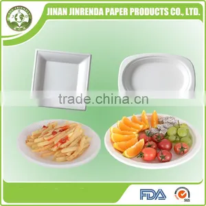 Disposable Plate With Sugarcane Pulp thumbnail-1