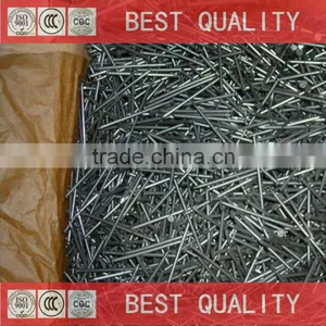 China Best Quality Canton Fair Common Nail thumbnail-1