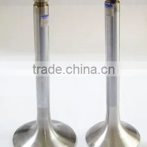 056109601A & 056109611A Engine Valve for Passat thumbnail-2