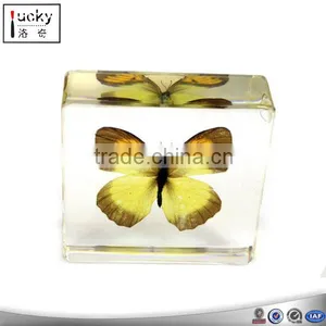 Yellow Butterfly Square Acrlic Paperweight/customized Butterfly Acrylic Paperweight thumbnail-1