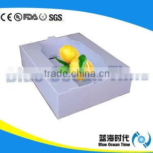 Polypropylene Corrugated Plastic Fruit Box for Lemon thumbnail-1
