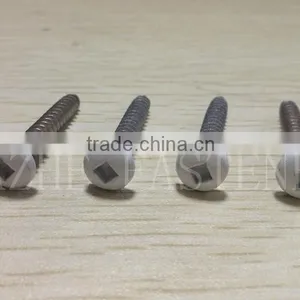 Painted Head Self-tapping Screw thumbnail-1