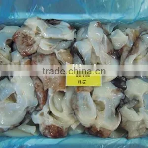Frozen Giant Squid Neck thumbnail-1