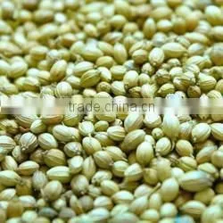 Dried Coriander Seed thumbnail-1