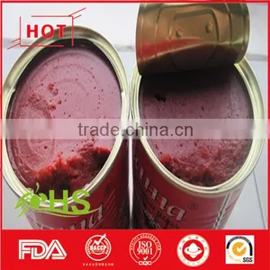 Canned Tomato Paste of Good Quality thumbnail-4
