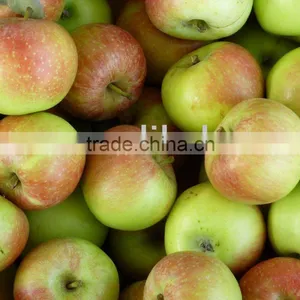 Gala Apple thumbnail-1