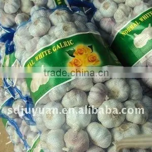 Chinese Fresh White Garlic thumbnail-1