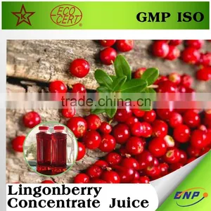 Lingonberry Concentrate Bulk Fruit Juice thumbnail-1