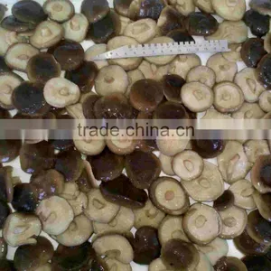 CANNED SHIITAKE MUSHROOM MARINATED thumbnail-1