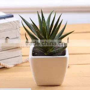 Mini Artificial Barbados Aloe With Pot thumbnail-1