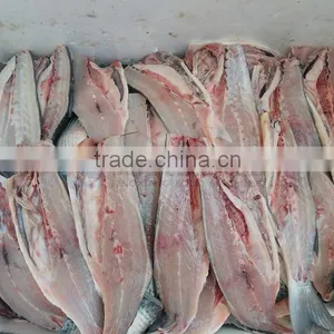 Industrial Automatic Tilapia Mullet Fish Cutting Fillet Splitting Machine thumbnail-6