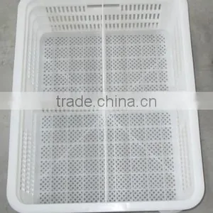 Plastic Turnover Box for Chickens thumbnail-3