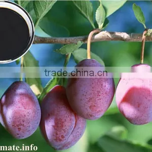 Brands of Organic Fertilizer Amino Acid Liquid thumbnail-5