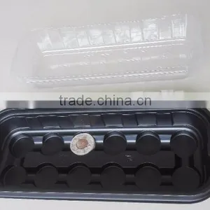 Seeds Starter Pellets thumbnail-2
