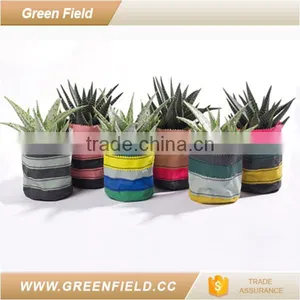 Canvas Grow Plant Bag Eco Garden Growing Bag thumbnail-1