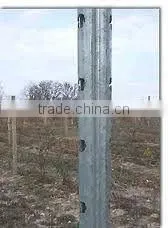Galvanzied Steel Vineyard Post thumbnail-1