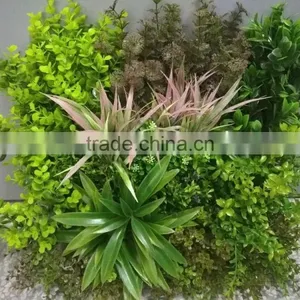 Decorative Frame Wall Hanging Grass Plants thumbnail-2