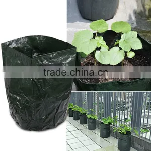 Grow Bags for Green House thumbnail-4