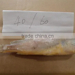 Frozen Yellow Croaker 40-100 thumbnail-2