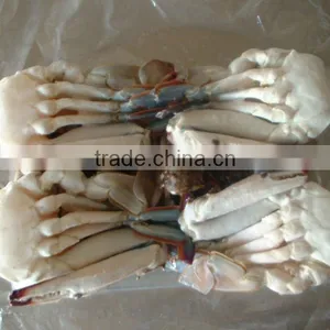 High Quality Frozen Seafood Rock Crab thumbnail-1