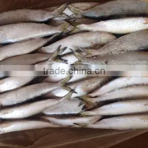 High-class New Fish Sardine Fish Frozen Sardine for Canning on Sale thumbnail-4
