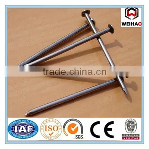 Building Common Wire Nail, Construction Common Nail Iron Nail Factory thumbnail-1