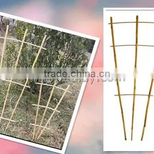 Manufacturer of Bamboo Cane Trellis Garden Bamboo Trellis for Planting thumbnail-1