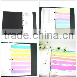 International Pantone Color Chart GB1504 thumbnail-5