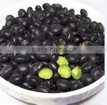 Organic Black Bean With Green Kernel thumbnail-2